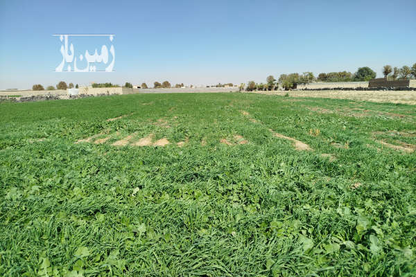 زمین کشاورزی ورامین روستای رودبارک-1