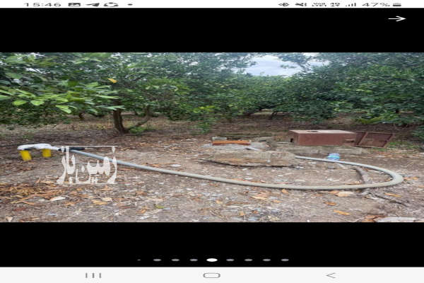 زمین مسکونی لکه زرد قابل ساخت جاده دریا-1