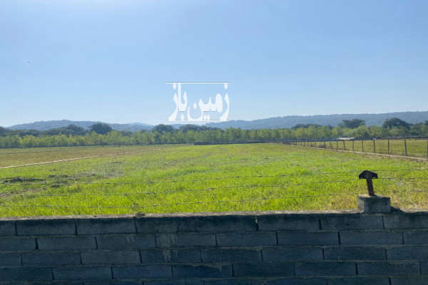 زمین شالیزاری دور فنس روستای برنجستانک-2