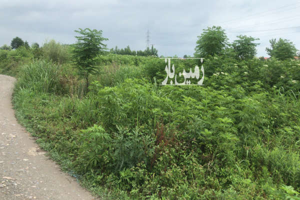 زمین به مساحت ۲۸۵ متر در نشتارود خیابان ۱۵ خرداد-2