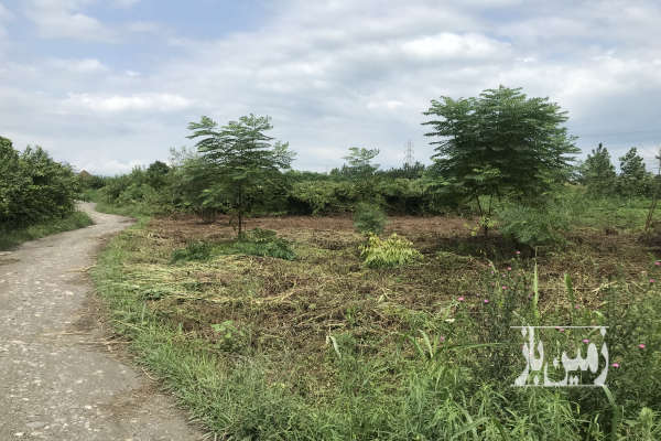 زمین به مساحت ۲۸۵ متر در نشتارود خیابان ۱۵ خرداد-3