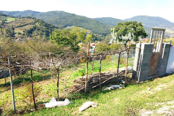 زمین در ییلاق زیبا و بااب و هوای عالی-1