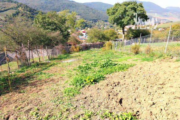 زمین در ییلاق زیبا و بااب و هوای عالی-2