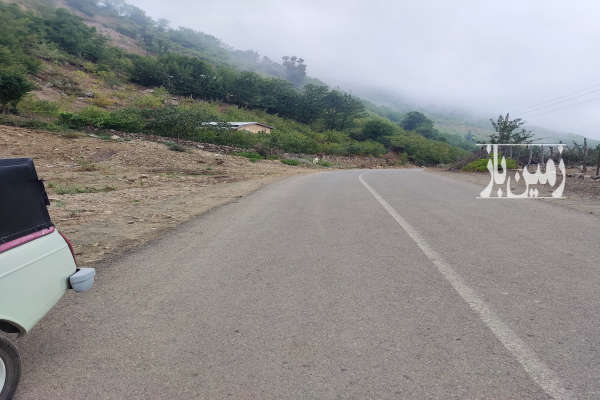 زمین کشاورزی تبدیل به باغ فندق جنب خیابان اصلی-1