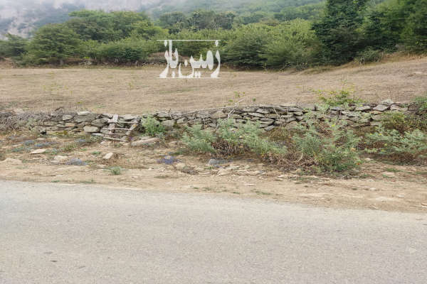 زمین کشاورزی تبدیل به باغ فندق جنب خیابان اصلی-2