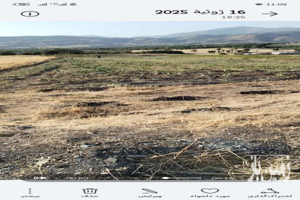 زمین کشاورزی در روستای بناویله-1