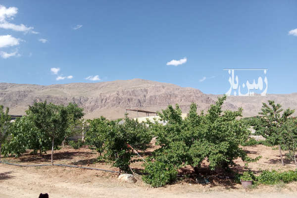 باغ ۵۰۰۰ مترمربع در روستای قرقر-4