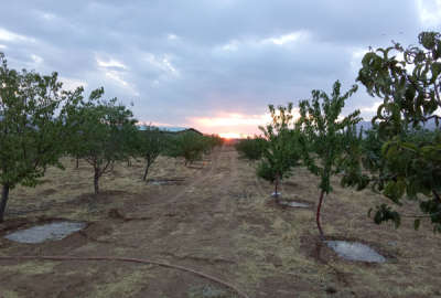 باغ ۵۰۰۰ مترمربع در روستای قرقر