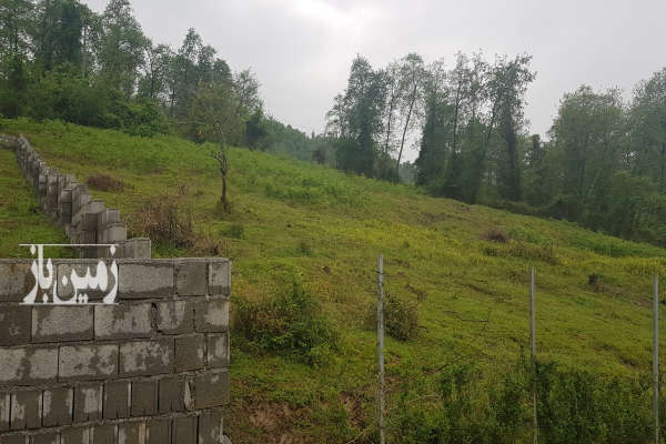 زمین در روستای بندبن جاده آسفالت گاز کشی سند دار-1