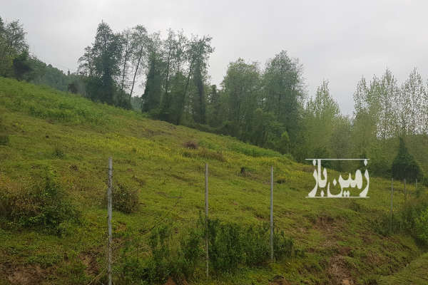 زمین در روستای بندبن جاده آسفالت گاز کشی سند دار-3