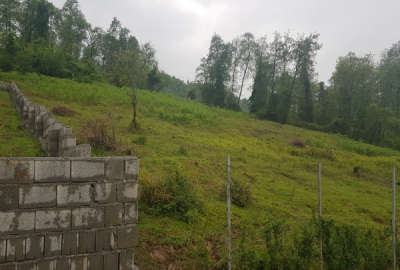 زمین در روستای بندبن جاده آسفالت گاز کشی سند دار