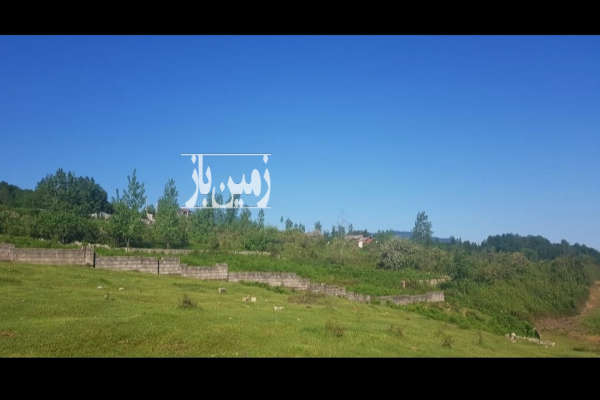 زمین در روستای کوتی بازار نشتارود ۶۶۰ متر-2