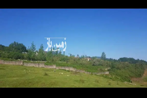 زمین در روستای کوتی بازار نشتارود ۶۶۰ متر - تصویر 2