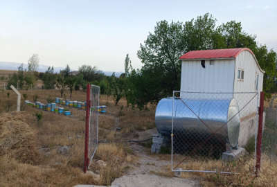 فروش باغ ۳۰۰۰ متری در روستای گرده نمین