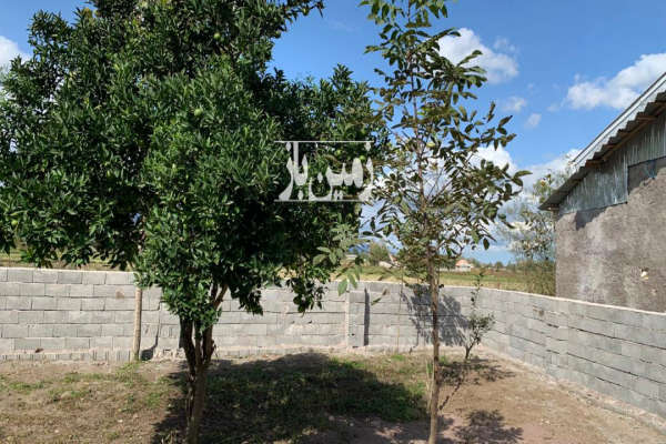 زمین مسکونی ۲۱۷ در روستای ماسال-4