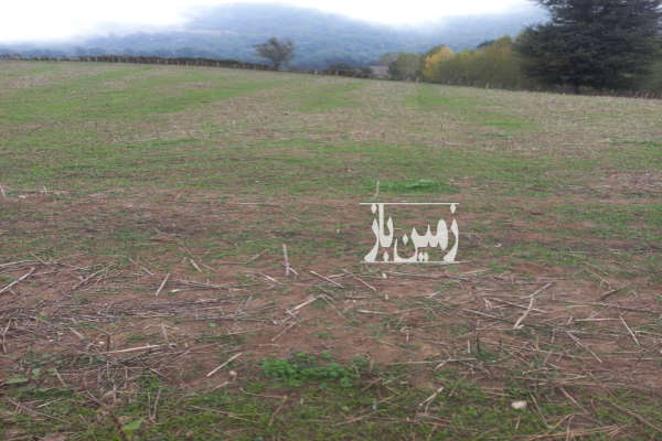 زمین چهاردانگه روستای حاجیکلاه ۴۵۰۰ متر-4