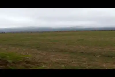 زمین چهاردانگه روستای حاجیکلاه ۴۵۰۰ متر