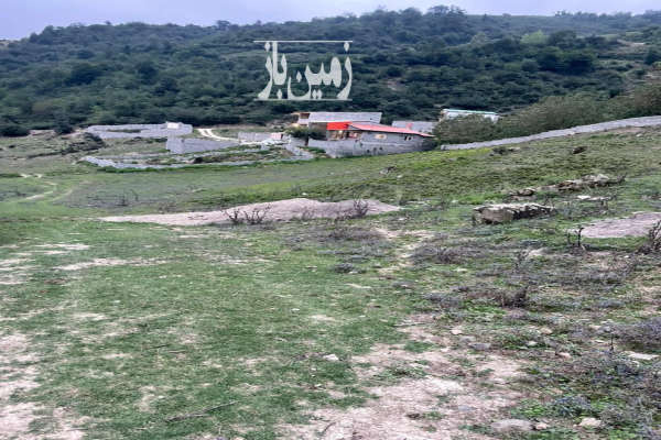 زمین ییلاقی مسکونی چلاو ۵۰۰ متری نزدیک فیلبند-4