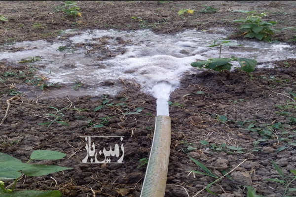 زمین کشاورزی در ساری جاده جویبار روستای رگندشت-3