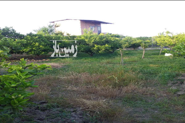 زمین کشاورزی در ساری جاده جویبار روستای رگندشت-4