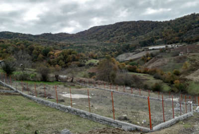 زمین کشاورزی روستای پاجی واقع در سوادکوه