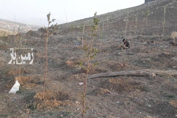 زمین ۵۰۰ متری در رودهن روستای گلاهک-3