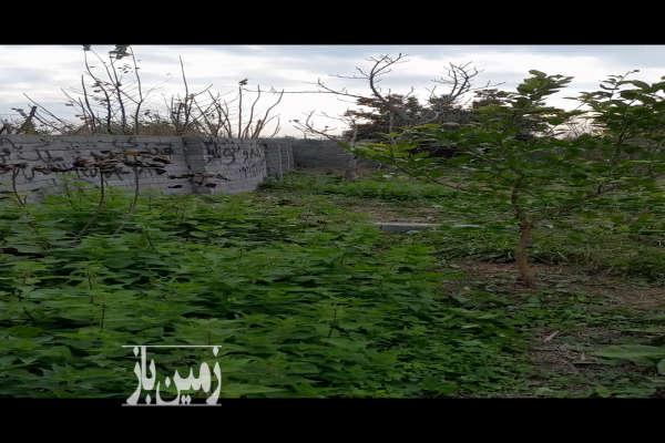 زمین بافت باغی آمل روستای کلیکان-3