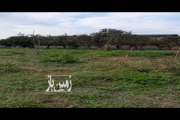 زمین بافت باغی آمل روستای کلیکان - تصویر 3