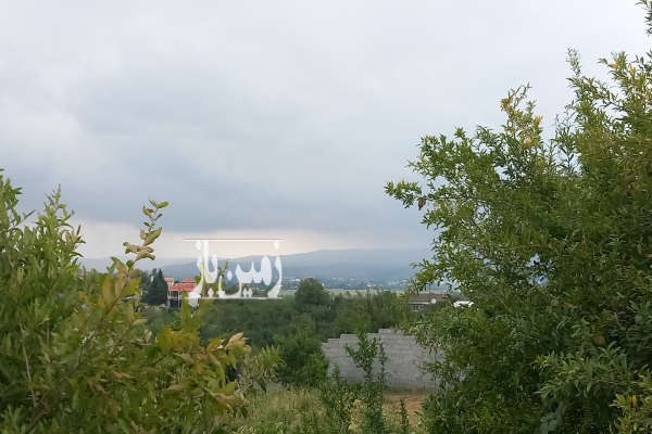 زمین با ویو جنگلی در روستای پاشاکلا-1