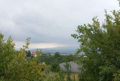 زمین با ویو جنگلی در روستای پاشاکلا