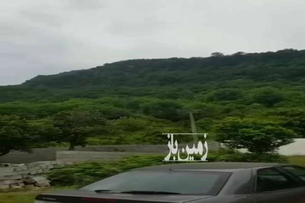 زمین مسکونی روستای سفید تمشک رامسر ویوی کوه و دریا-2