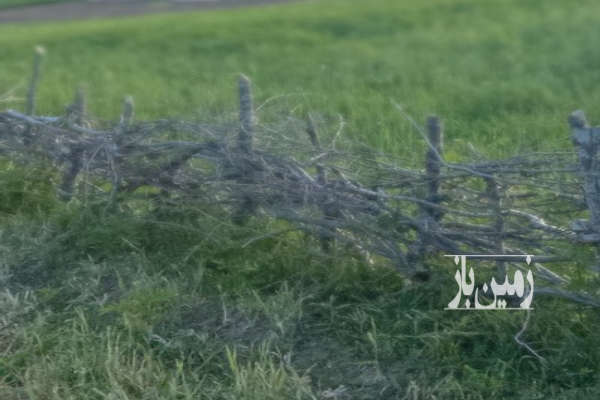 زمین شالیزار حاصل خیز میانرو گلبستان-1
