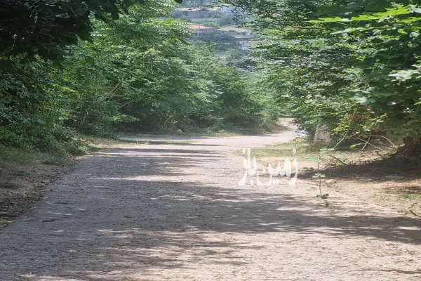 زمین در روستای گل افشان بالای تپه داری ویو ابدی-1