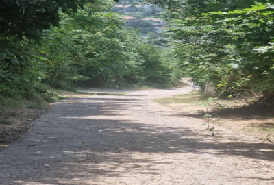 زمین در روستای گل افشان بالای تپه داری ویو ابدی