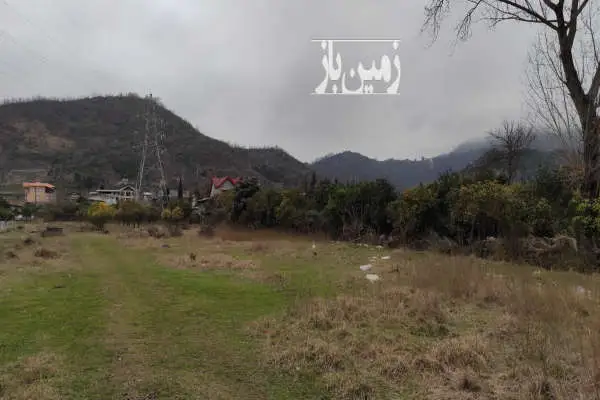 زمین مسکونی ۶۴۰۰ متر رامسر تنگدره - تصویر 2