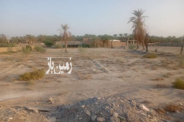 زمین مسکونی اخر بلوار سعدی پشت مرغ فروشی ها-2