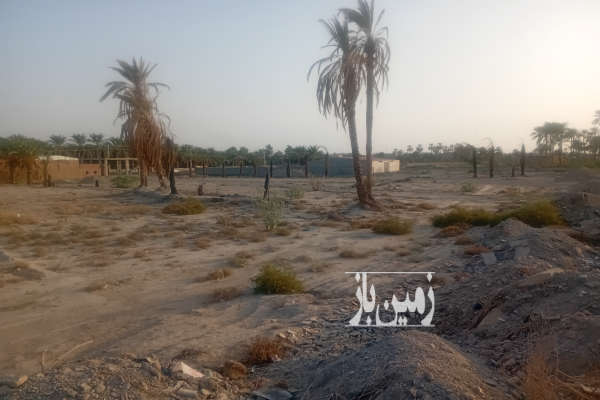 زمین مسکونی اخر بلوار سعدی پشت مرغ فروشی ها-3