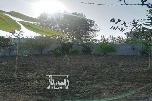 زمین مسکونی در روستای کلاگرمحله قایمشهر ۲۰۰ متر-2