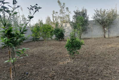 زمین مسکونی در روستای کلاگرمحله قایمشهر ۲۰۰ متر