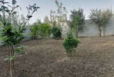 زمین مسکونی در روستای کلاگرمحله قایمشهر ۲۰۰ متر