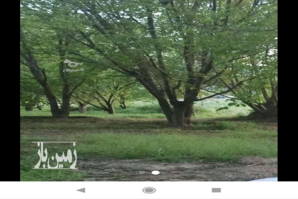 باغ گردو آب همیشگی روستای آران سرسراب-1