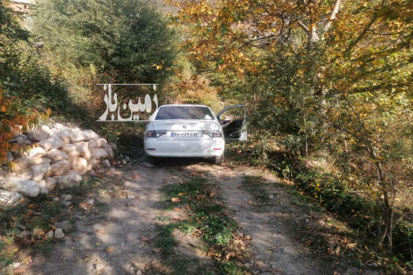 زمین باغی ۸۰۰ متر روستای لوط باغ گردو گیلاس و سیب-4