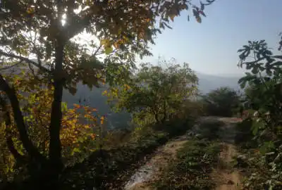 زمین باغی ۸۰۰ متر روستای لوط باغ گردو گیلاس و سیب