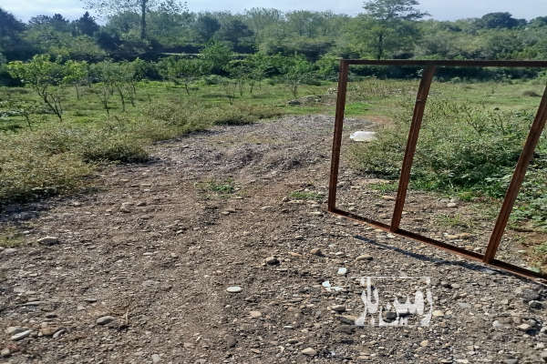 زمین فروشی ساحلی منطقه گردشگری گیسوم ۳۰۰ متر-1