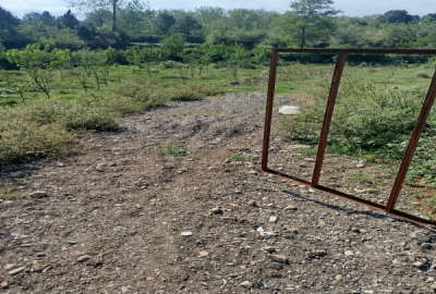 زمین فروشی ساحلی منطقه گردشگری گیسوم ۳۰۰ متر