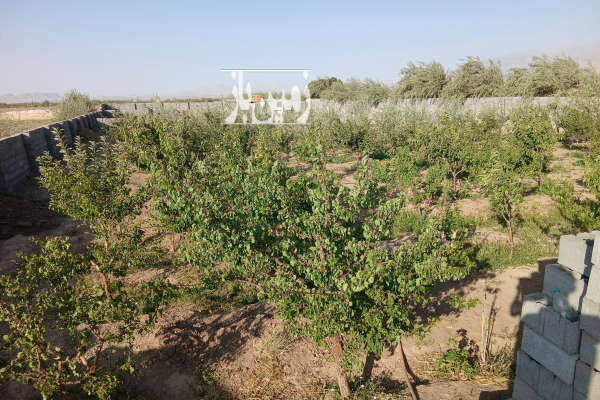 یک قطعه زمین اتوبان آزادشهر روستای چارطاق پرو-2