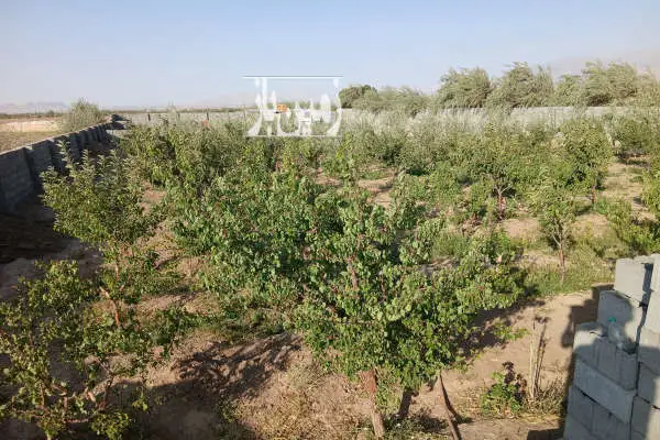 یک قطعه زمین اتوبان آزادشهر روستای چارطاق پرو - تصویر 2