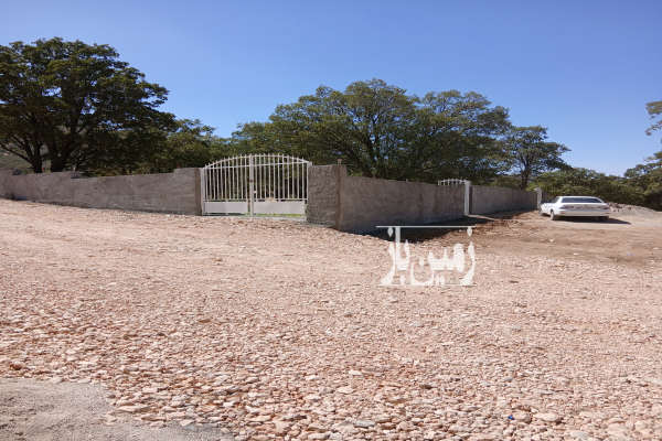 زمین باغی درختان یکساله دو نبش روستای مختار-1