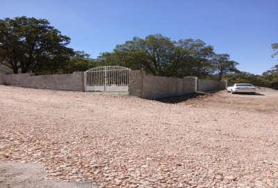 زمین باغی درختان یکساله دو نبش روستای مختار