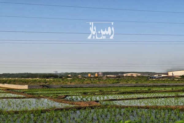زمین کشاورزی در جیسا متل قو ۳۵۰۰ متر-2
